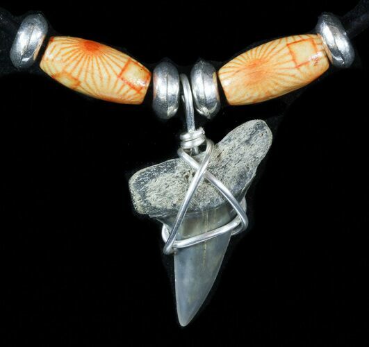Fossil Mako Shark Tooth Necklace #47564